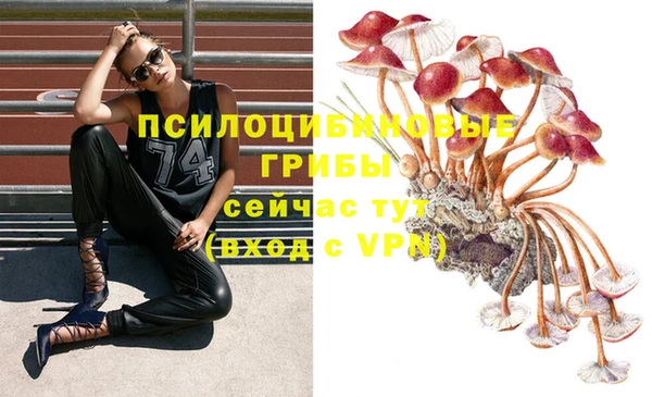 мескалин Аркадак