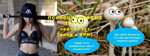 ALPHA PVP Арсеньев